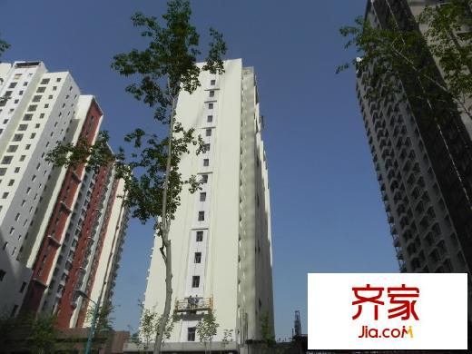 夏都府?。?013-5-9）