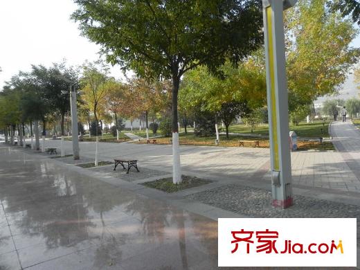 紫金佳苑生物園區(qū)廣場(chǎng)