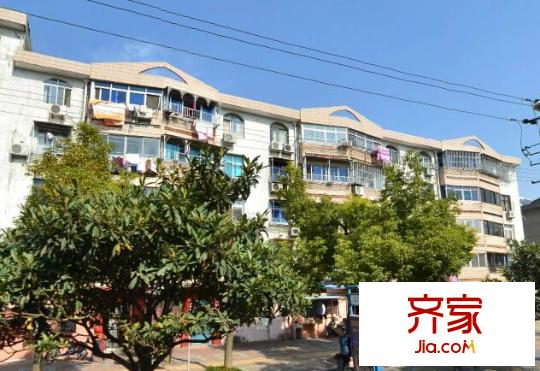 府西新村外景圖5