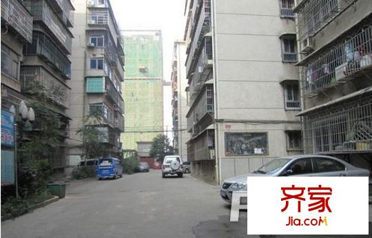 南園小區(qū)外景圖9