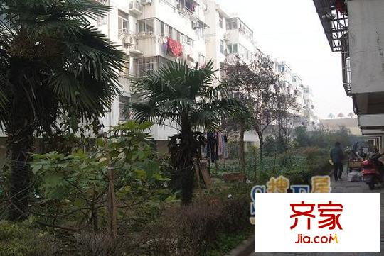 教工三村外景圖DSC05485