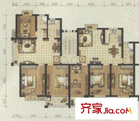 府西人家A戶型 3室2廳1衛(wèi)1廚