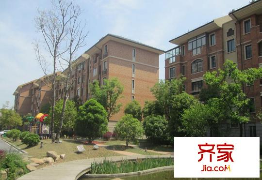 同濟(jì)家園小區(qū)綠化（2014.6.18）