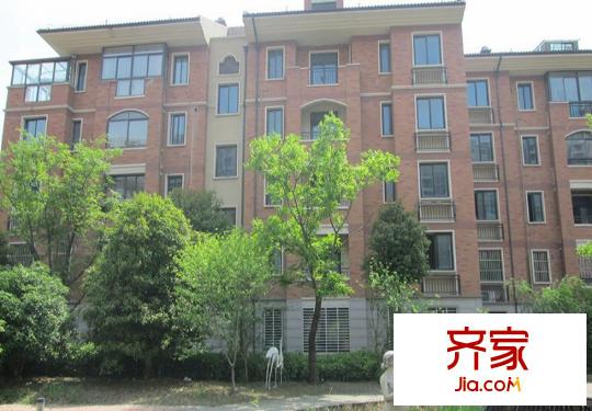 同濟(jì)家園小區(qū)綠化（2014.6.18）