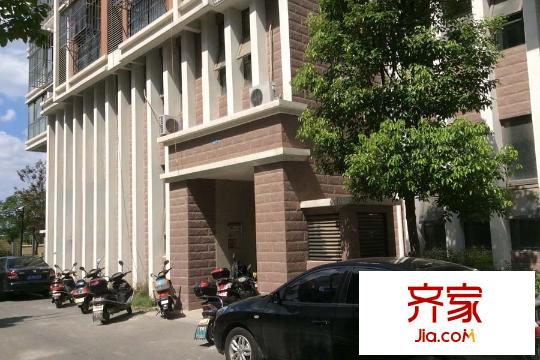 城市公館小區(qū)內(nèi)部環(huán)境圖（2015-9-9）