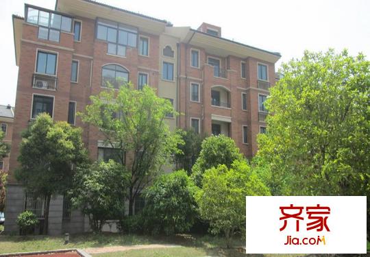 同濟(jì)家園小區(qū)綠化（2014.6.18）