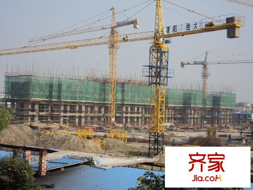 嘉中名苑施工進(jìn)度圖（2011.11.17）