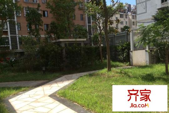 城市公館小區(qū)內(nèi)部環(huán)境圖（2015-9-9）