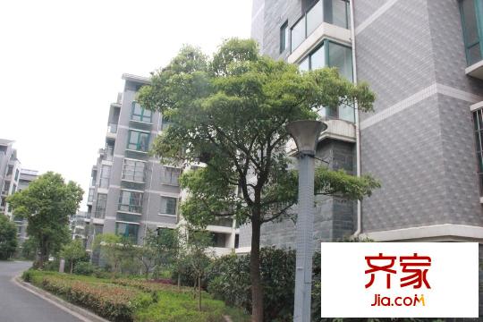 紫荊城小區(qū)（2015-9-17）