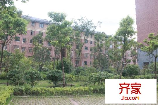 西堤陽(yáng)光小區(qū)（2015-9-17）