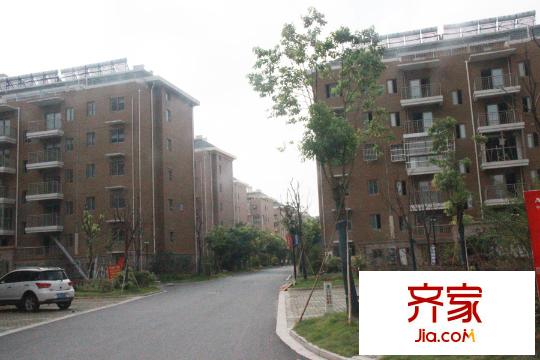 上海大花園多層小區(qū)（2015-9-28）