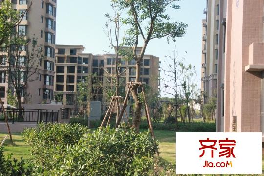 紫金華府小區(qū)（2015-9-18）