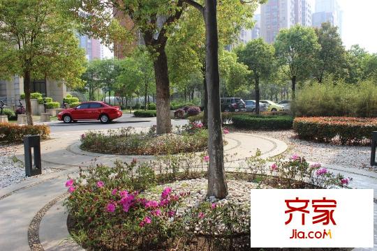 錦繡姜城小區(qū)綠化（2015-4-28）