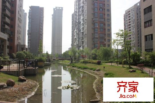 錦繡姜城小區(qū)綠化（2015-4-28）