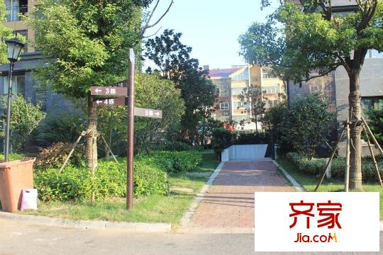 久源尚郡小區(qū)內(nèi)部綠化圖2015-9-22