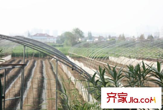 中鐵溪源周邊配套草莓園