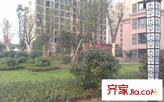 紫金華府:實(shí)景圖