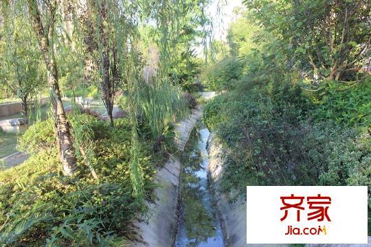 久源尚郡小區(qū)內部綠化圖2015-9-22