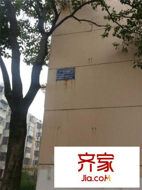 東進(jìn)小區(qū)外景圖 