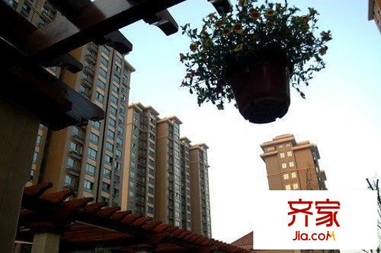 鳳城國(guó)際外景圖1242894698484_000