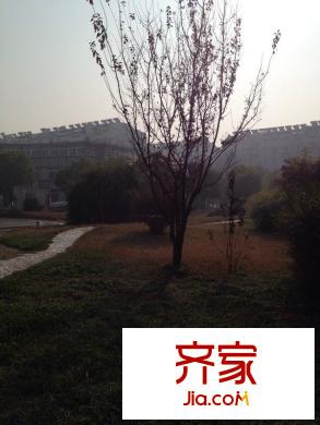 蓮花六區(qū)外景圖 