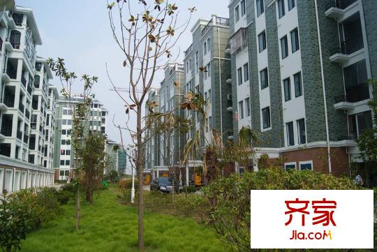 天和家園外景圖小區(qū)實景圖(2010.8.30)