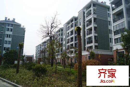 天和家園外景圖小區(qū)實景圖(2010.8.30)