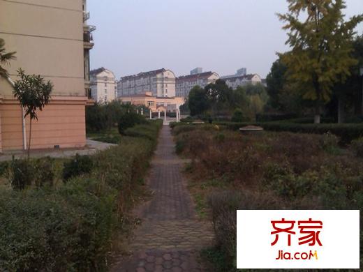 蓮花一區(qū)外景圖--3