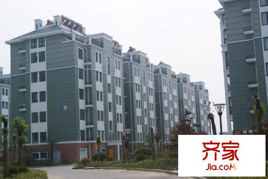 天和家園外景圖小區(qū)實景圖(2010.8.30)