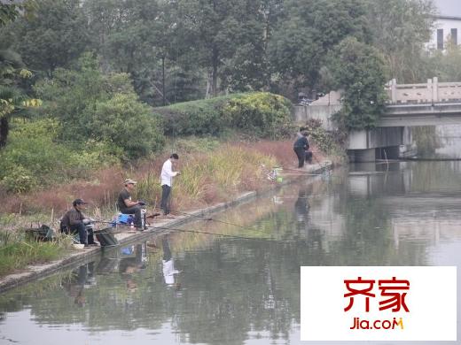 泰州華僑城純水岸綠化（2013-11-20）