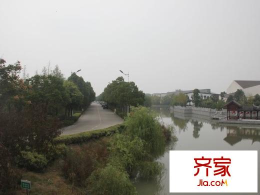 泰州華僑城純水岸綠化（2013-11-20）