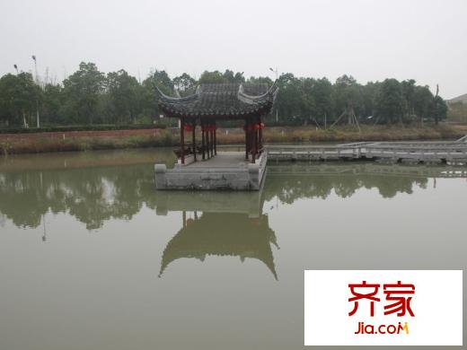 泰州華僑城純水岸綠化（2013-11-20）