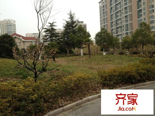 鵬欣尚城外景圖 