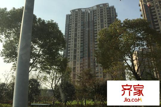 天鴻天際項目現(xiàn)場（15.03.25)