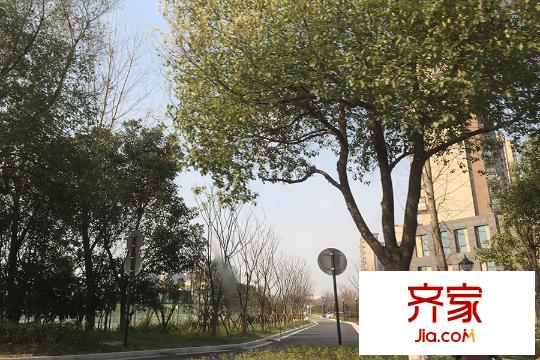 天鴻天際項目現(xiàn)場（15.03.25)