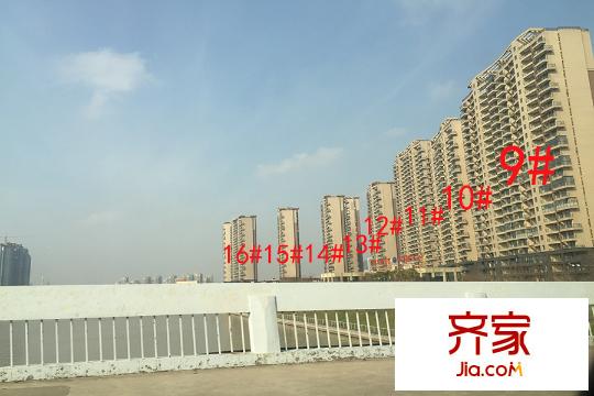 天鴻天際項目現(xiàn)場（15.03.25)