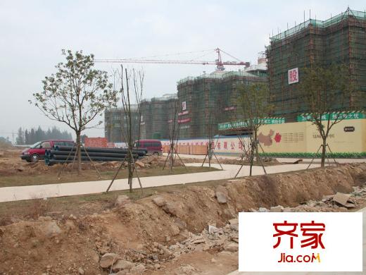 綠城英溪桃源工地實(shí)景（2011.11.16）