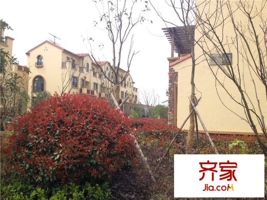 海上灣小區(qū)實景（2015.03.22）