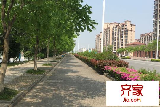 中惠卡麗蘭（2015.7.28）