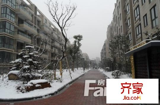 盛大興城桐鄉(xiāng)外景圖t0105d7a889debf9324