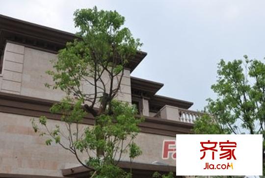紫金凰庭外景圖2