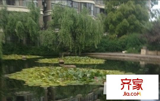 豐潤國際花園外景圖QQ圖片20150326121425