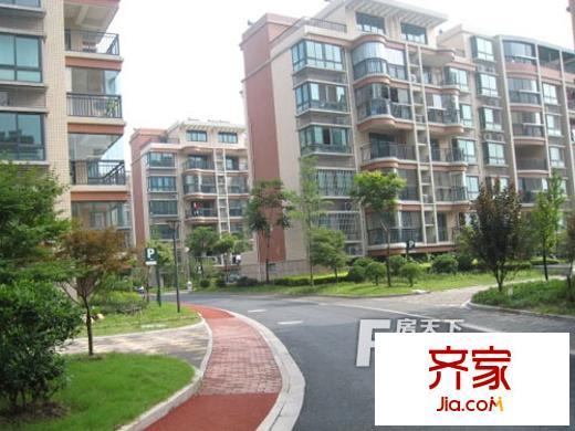 大樹銀河灣