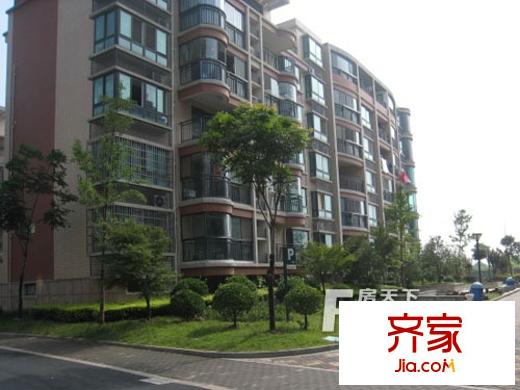 大樹(shù)銀河灣實(shí)景圖