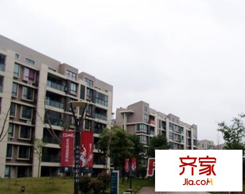 龍盛?華城右岸外景圖