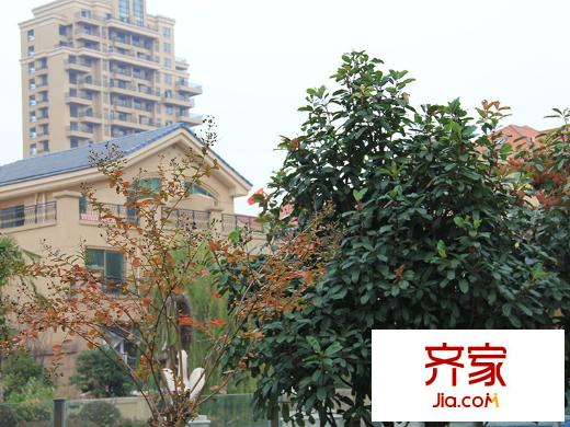 米蘭風(fēng)景(20130313)