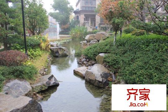 紫鑫豪庭IMG_0454