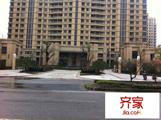郁金香岸（2012-3-07）