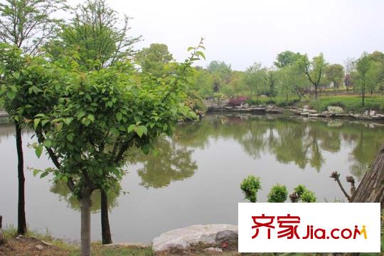贊成新都名邸府南公園
