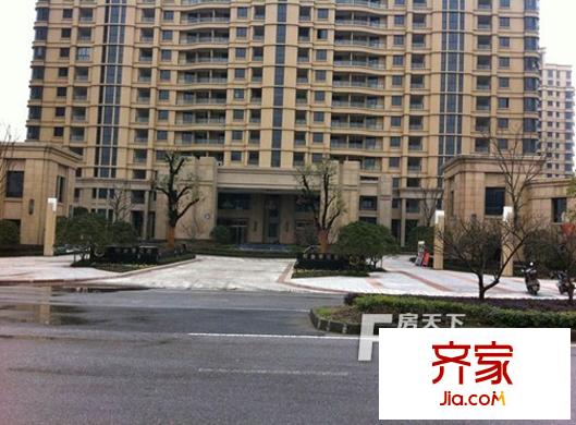 郁金香岸